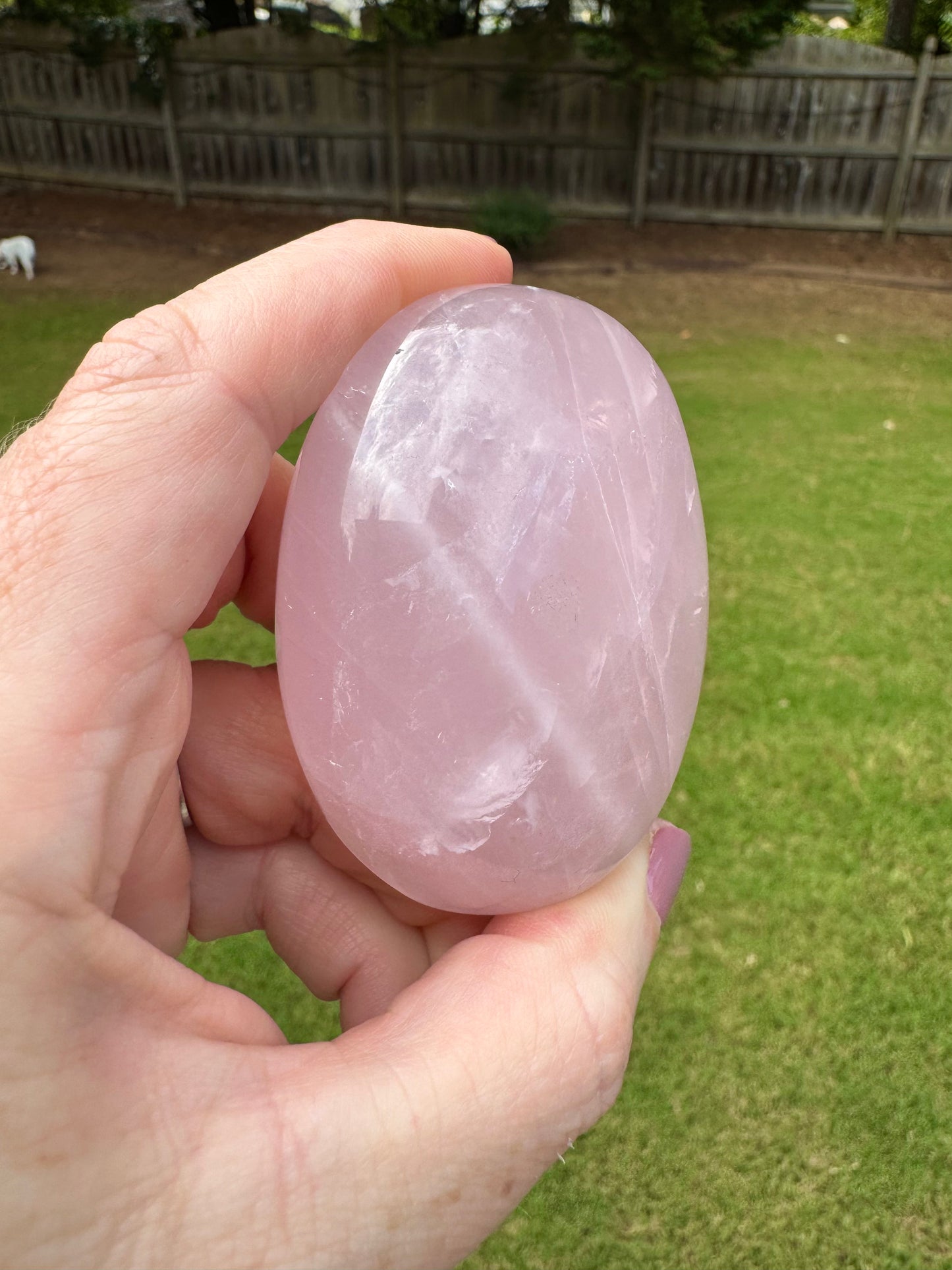 Pink Rose Quartz Palm Stone