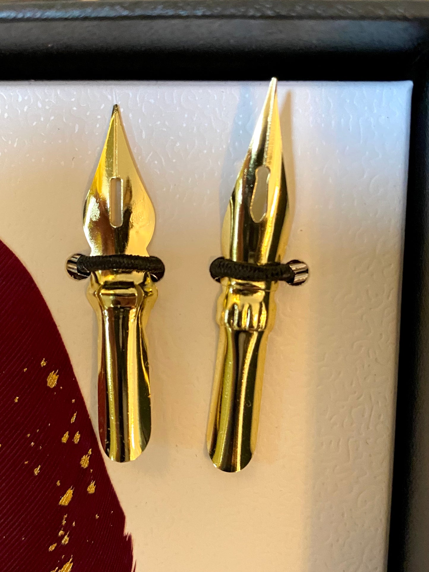 Feather Pen and Ink Calligraphy Set Free Gift Wrap