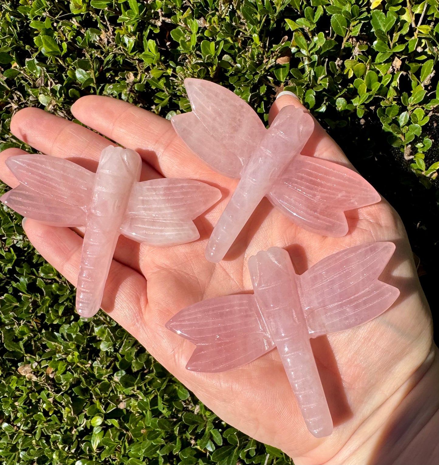 Large Dragonfly Rose Quartz Crystal Carvings