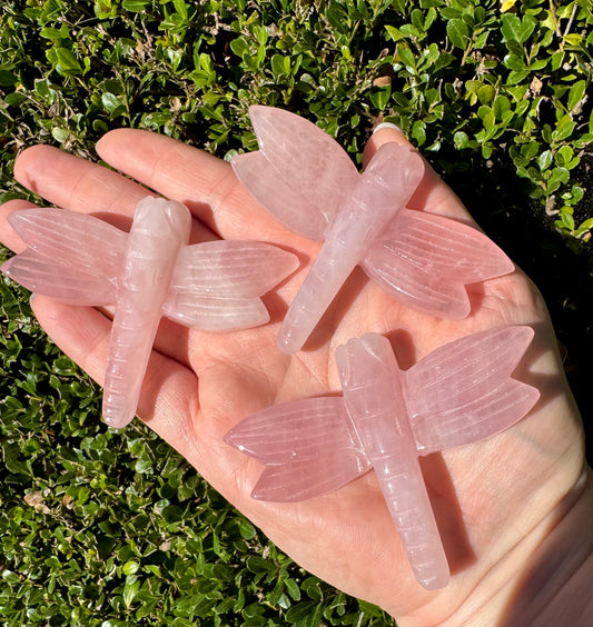 Large Dragonfly Rose Quartz Crystal Carvings