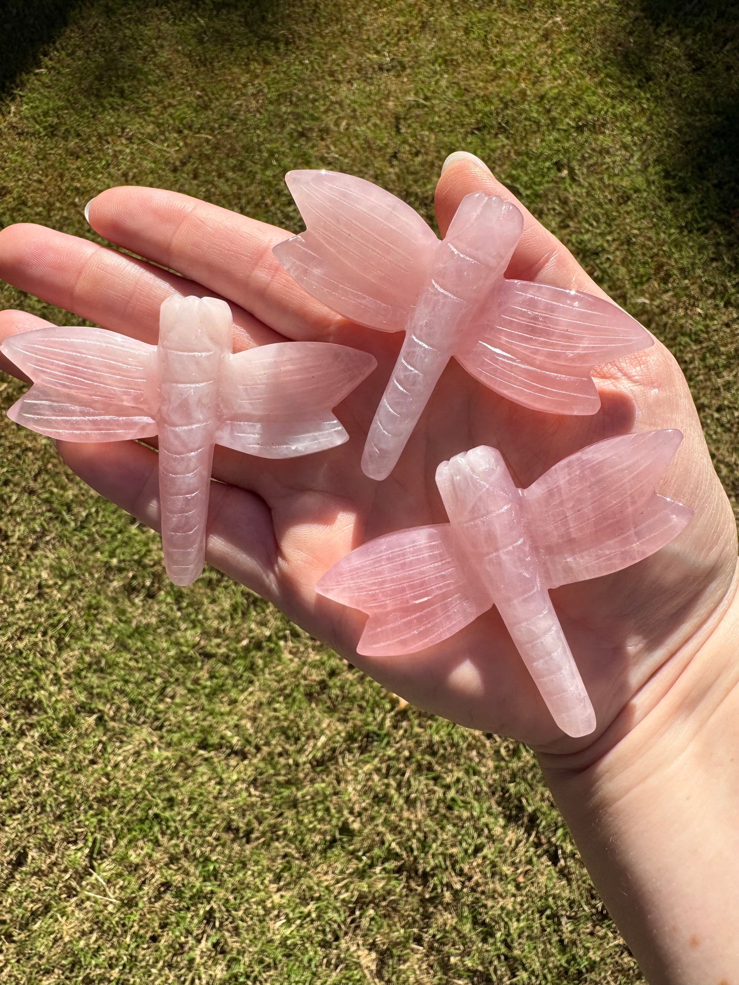 Large Dragonfly Rose Quartz Crystal Carvings