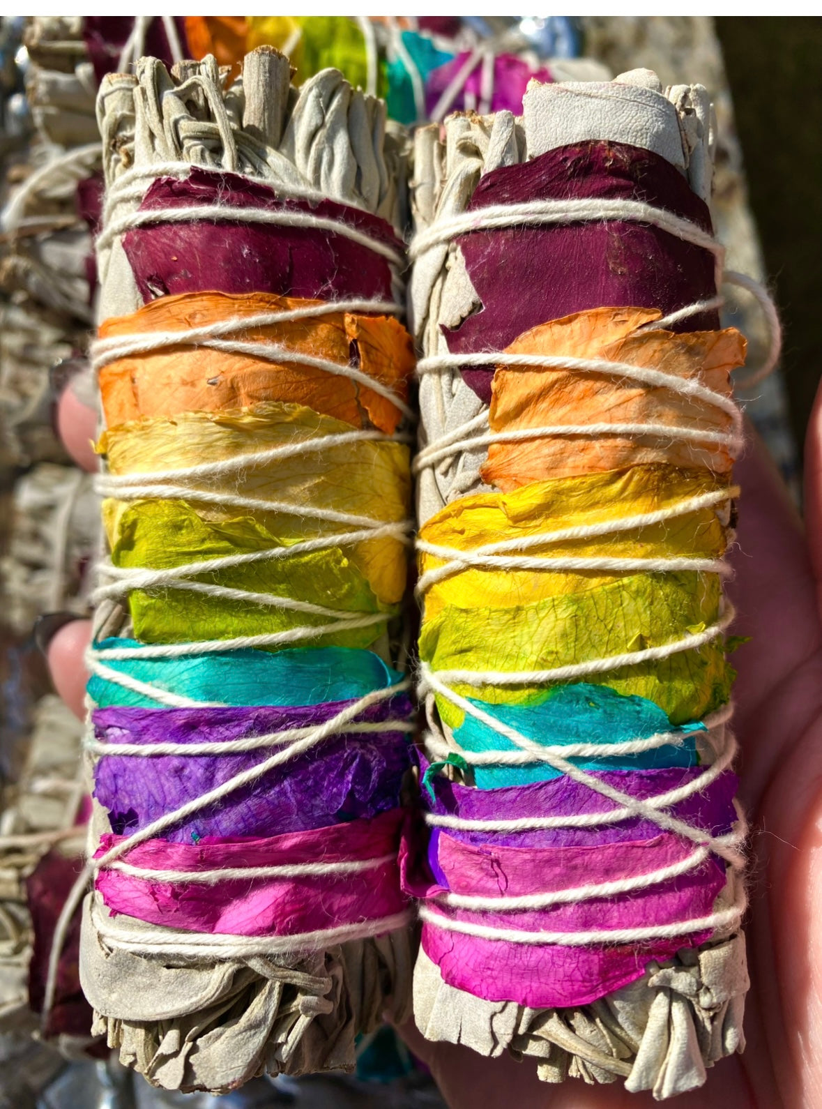Rainbow Sage 2-pack Organic Sage Free Gift Wrap