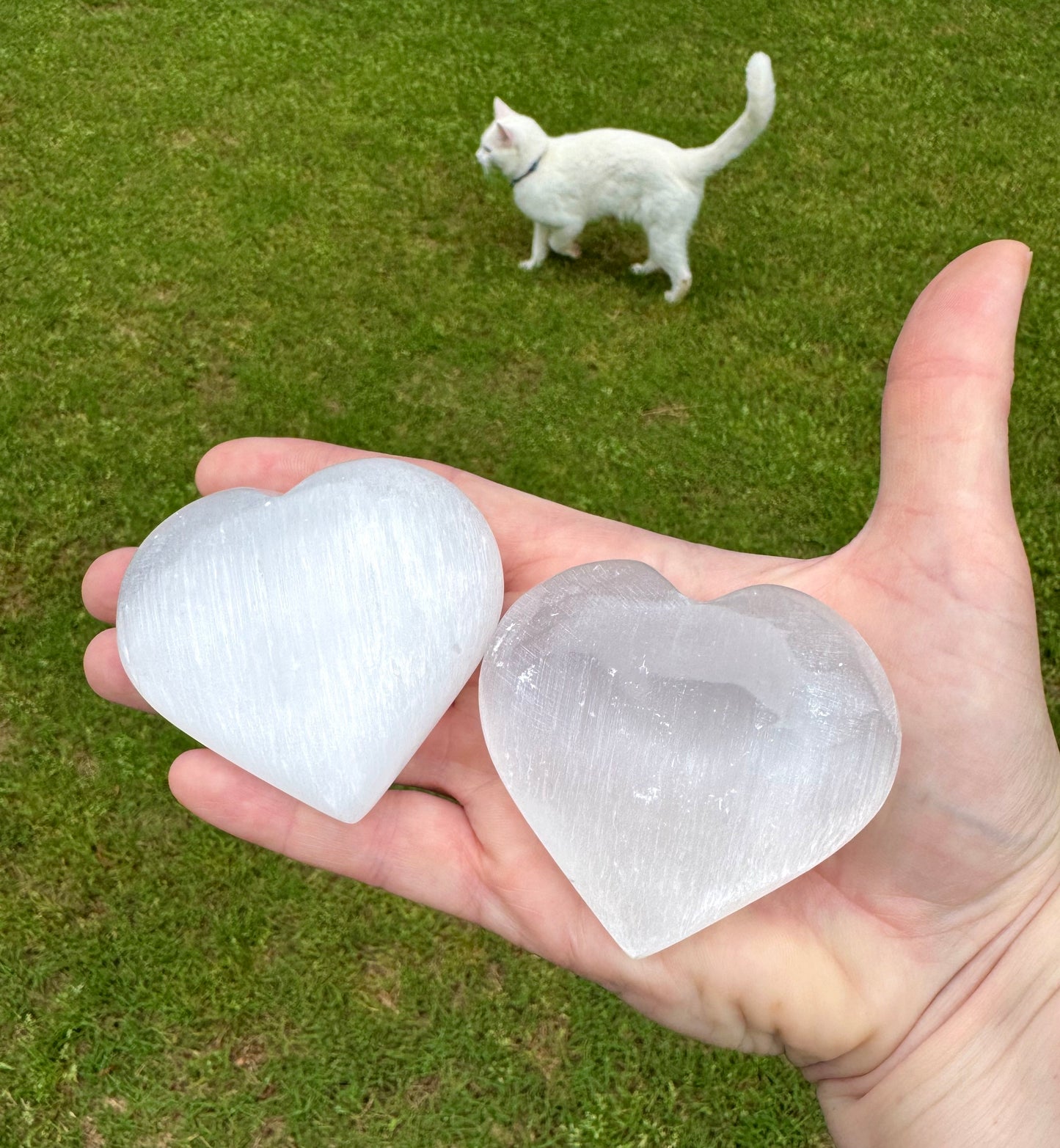 Selenite Hearts 3” Puffy Heart Stone Crystal Palm Stone Stone Free Gift Wrap