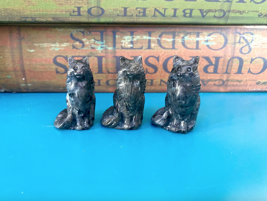 Maincoon Cat Carving Larvikite Crystal Stone Cats Free Gift Wrap