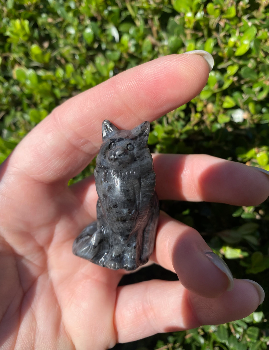 Maincoon Cat Carving Larvikite Crystal Stone Cats Free Gift Wrap