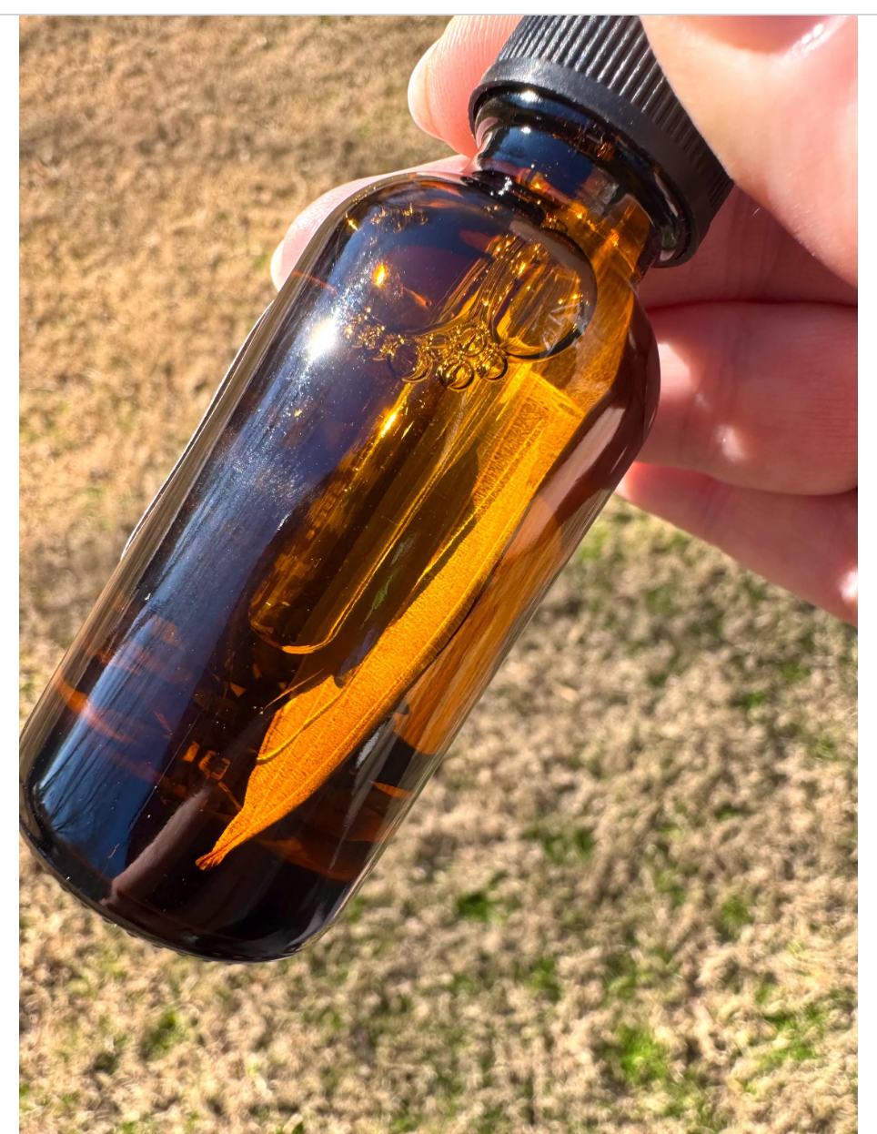 Manifestation Intention Oil Organic Ritual Oil for Candle Dressing and Body Anointing Small Gift Wicca Free Gift Wrap Witchcraft Supplies