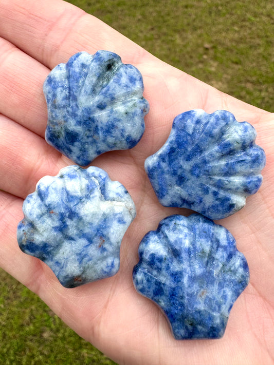 Sodalite Shell Carving