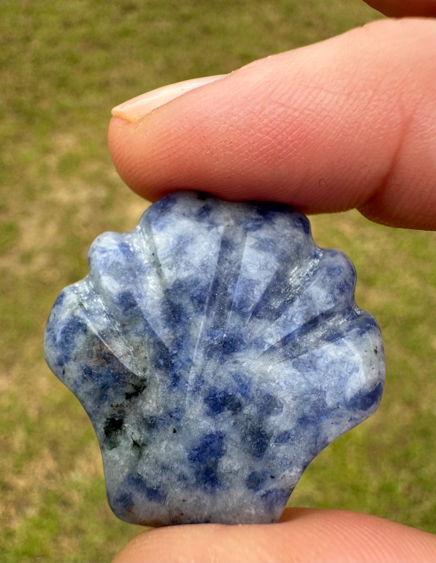 Sodalite Shell Carving