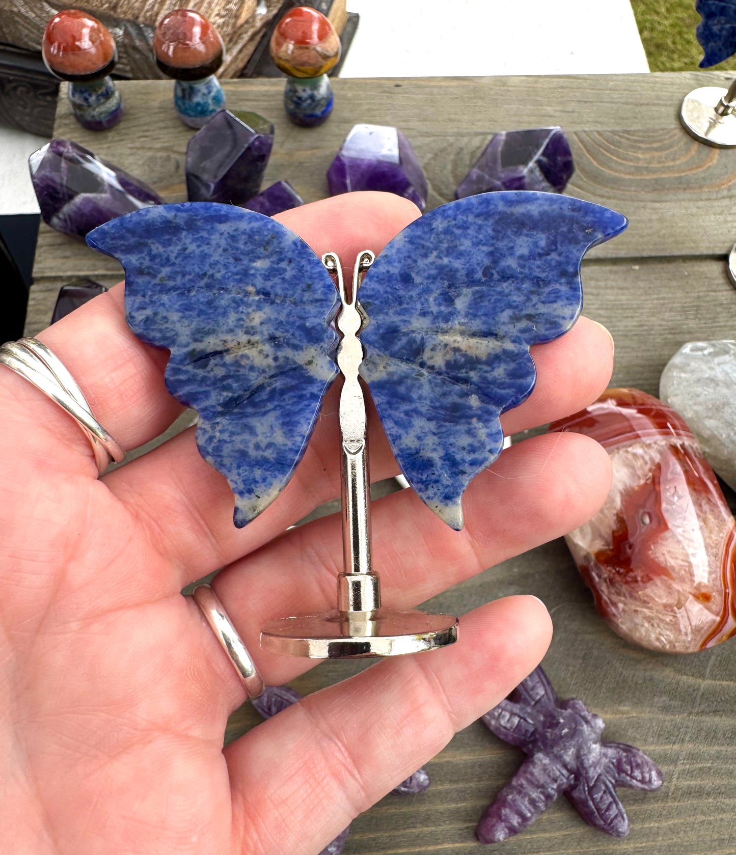 Sodalite Butterfly Wings on Stand