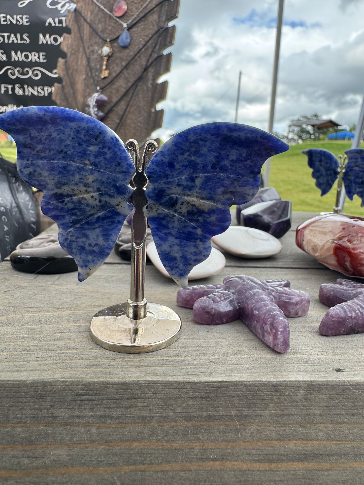 Sodalite Butterfly Wings on Stand