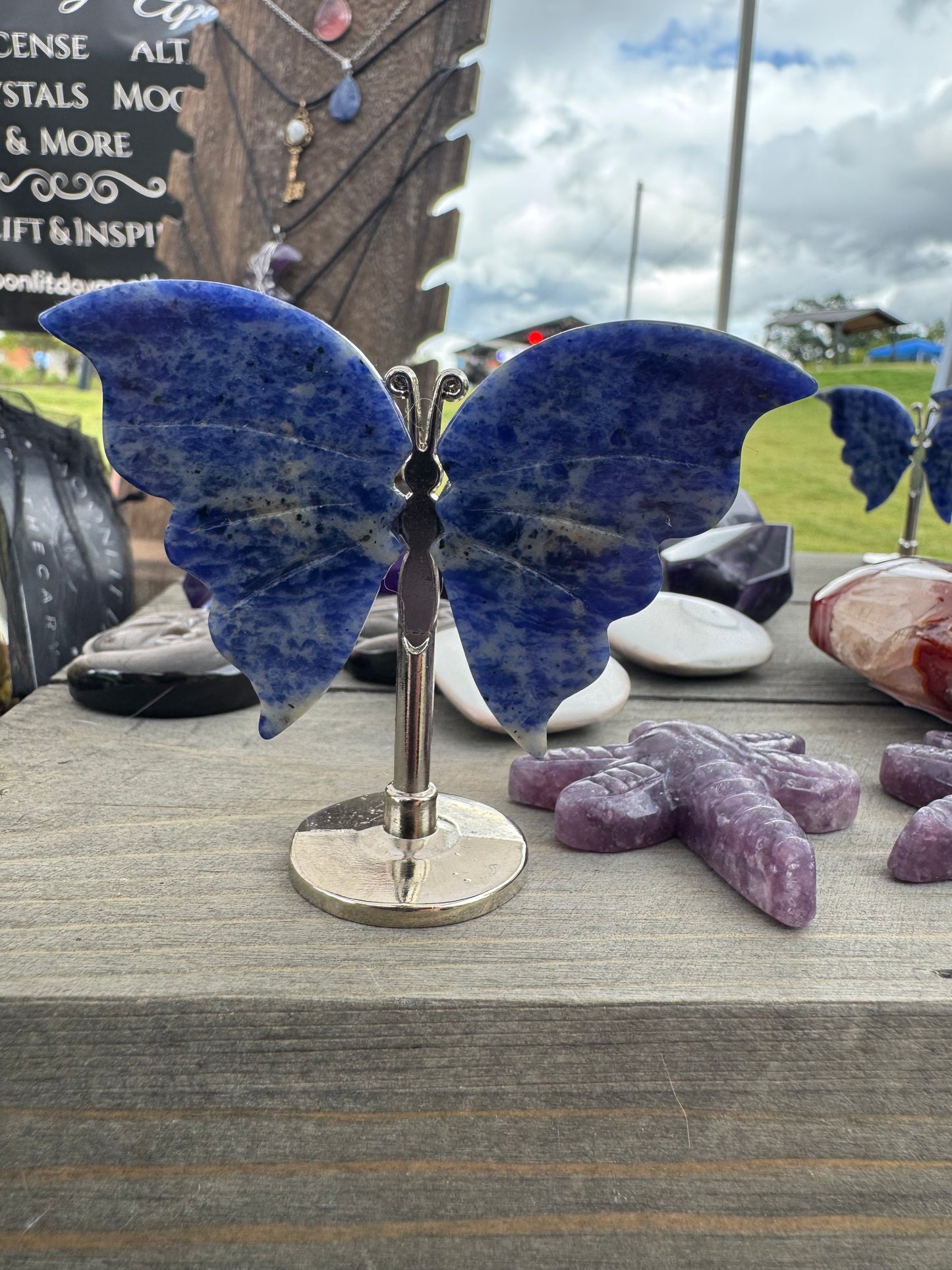 Sodalite Butterfly Wings on Stand