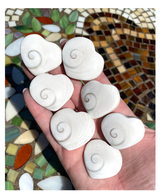 Shiva Shell Heart Third Eye Palm Stone Free Gift Wrap